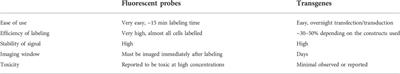 Analysis of mitochondrial dynamics and function in the retinal pigment epithelium by high-speed high-resolution live imaging